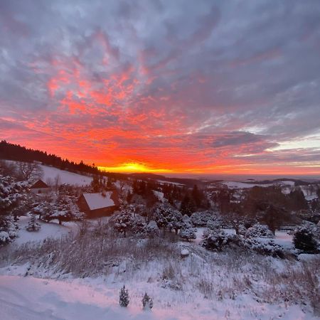 Вилла Pod Lesem Ченковице Экстерьер фото